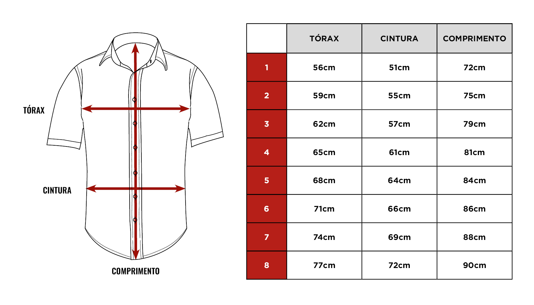 Tabela de medidas da camisa Citerol