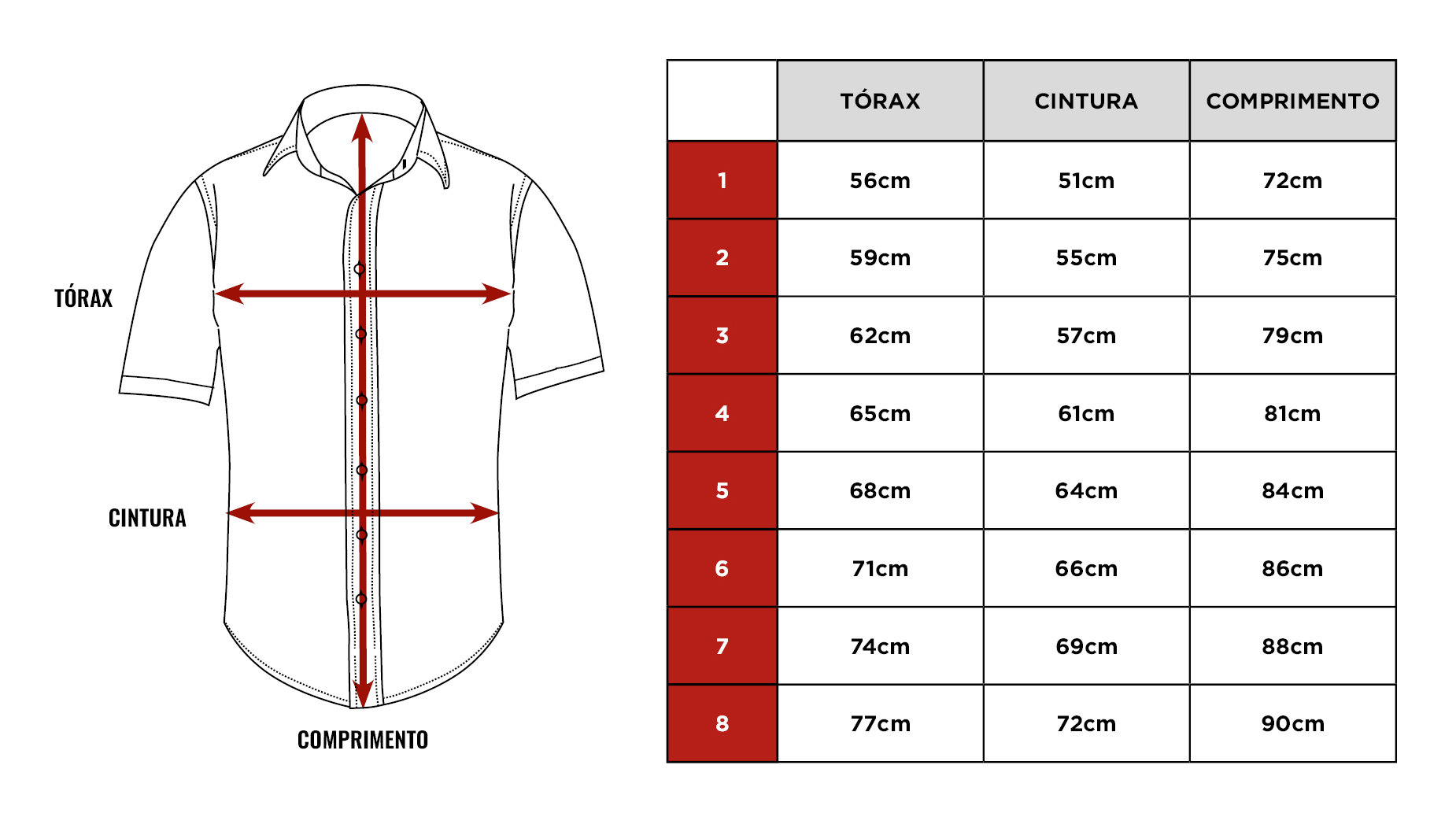Tabela de medidas da camisa Citerol