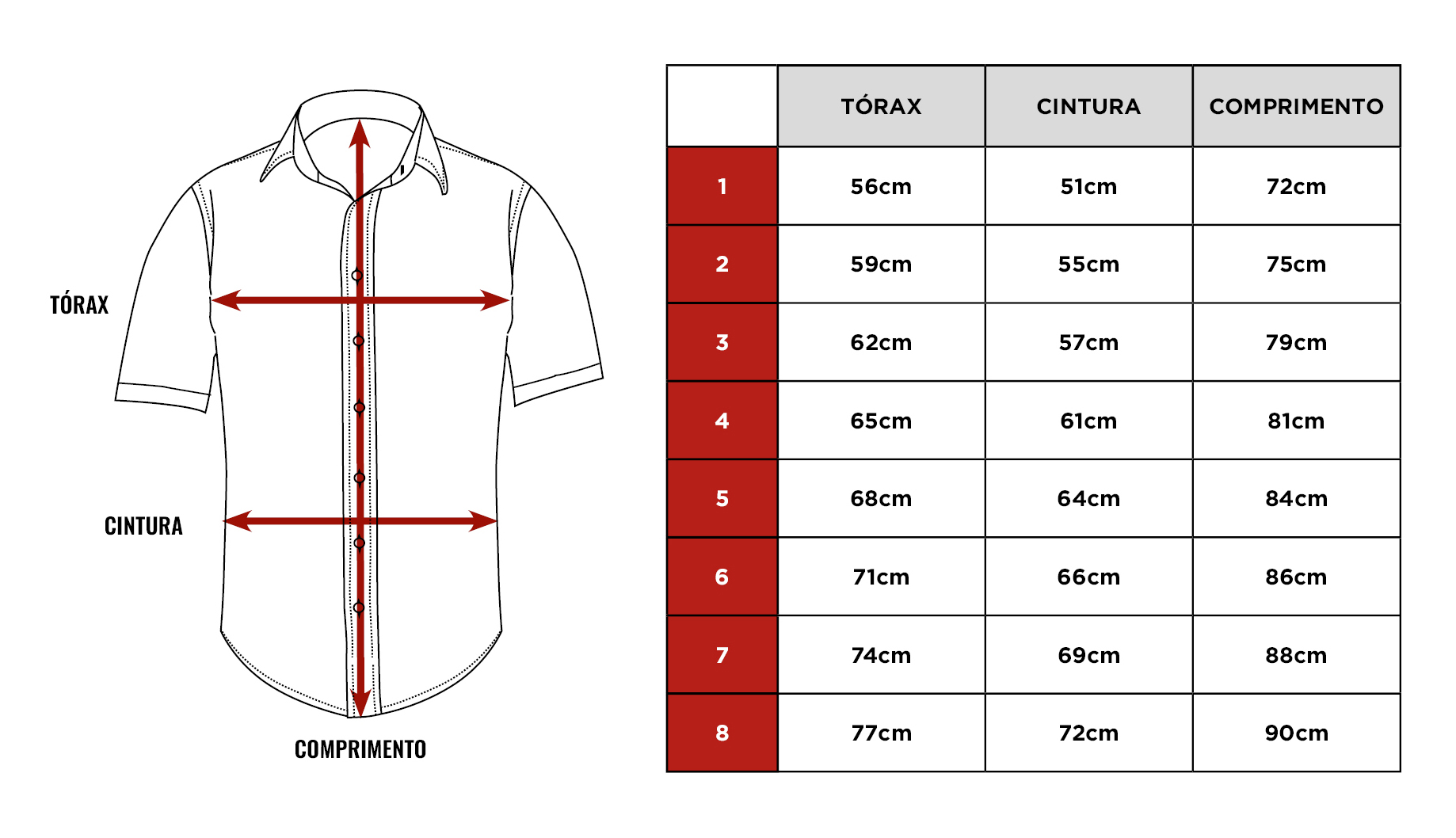 Tabela de medidas da camisa Citerol