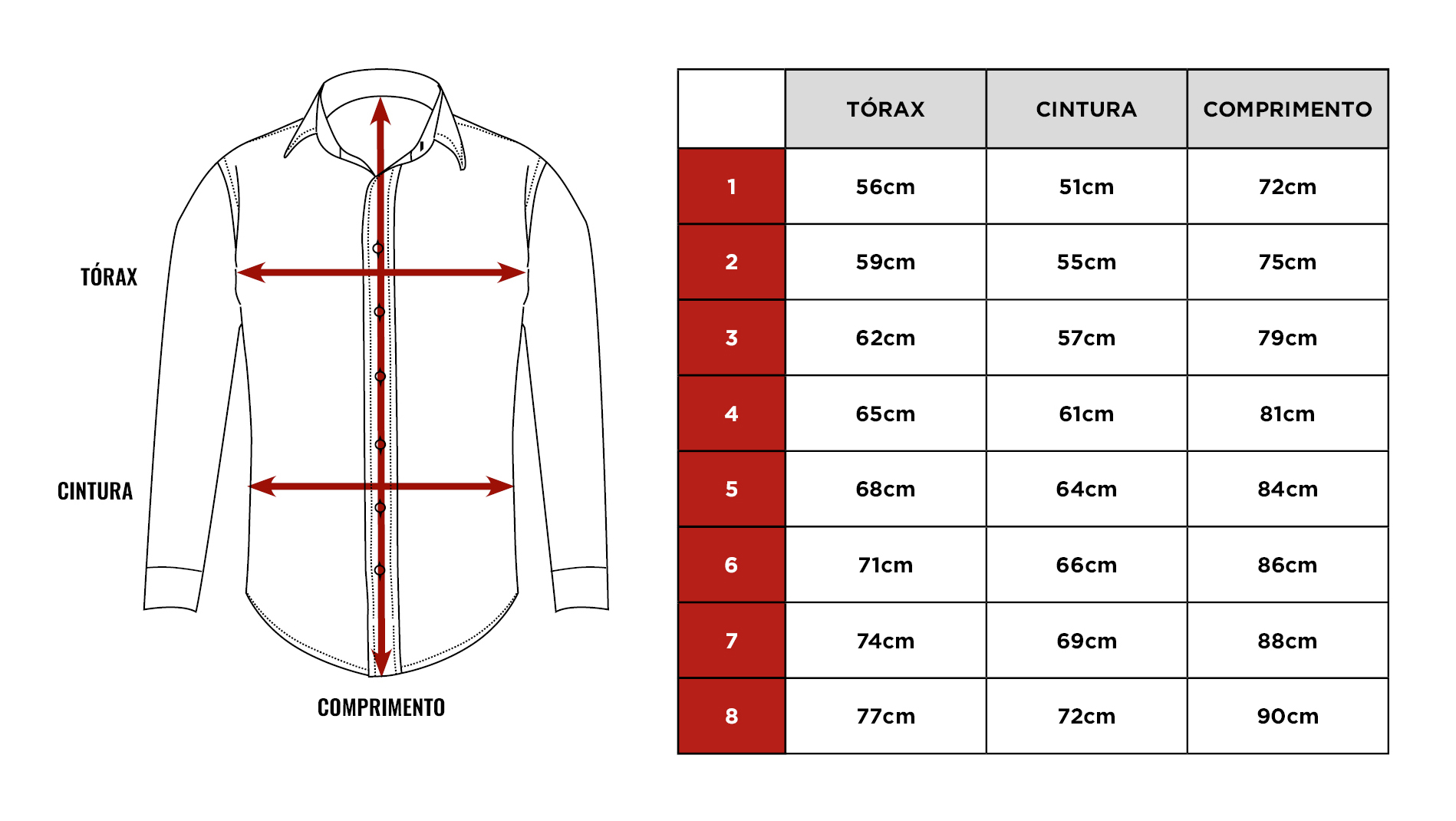Tabela de medidas da camisa Citerol