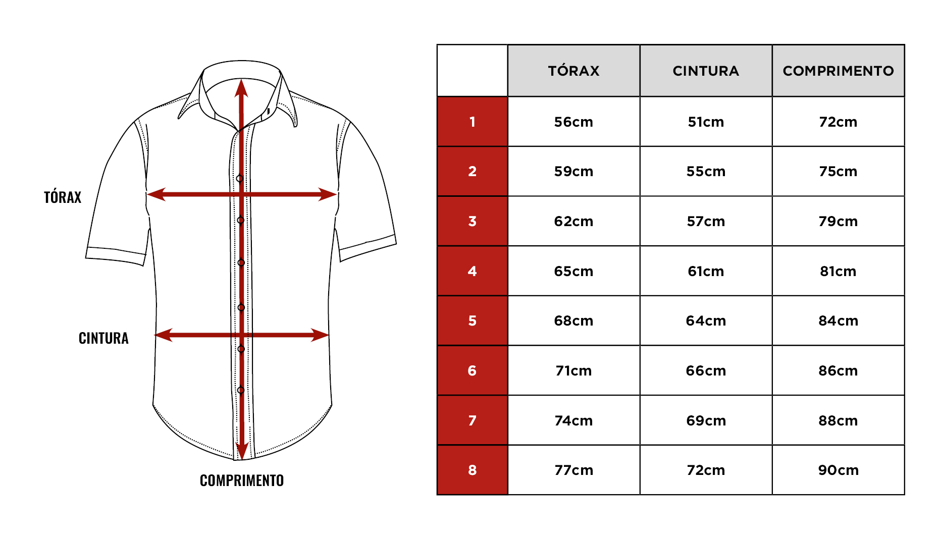 Tabela de medidas da camisa Citerol